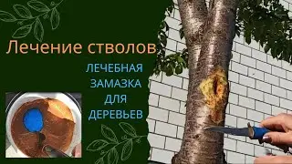 Рецепт лечебной замазки для лечения стволов деревьев.