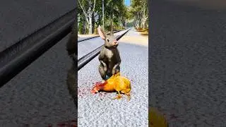 Dogs teach us love in its purest form | Part 172 |🥺