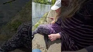 Fishing seaweed