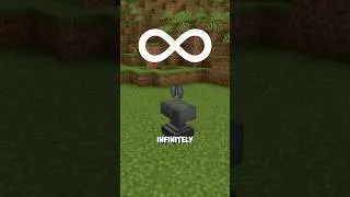 Infinite Elytra Trick 