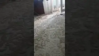 Кирилл подпишик