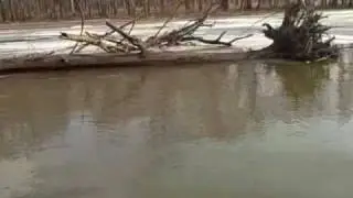 Bring Spring by Boat Ride w ice