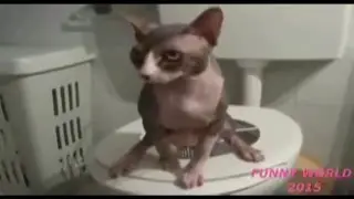 ЖИВОТИНА 2