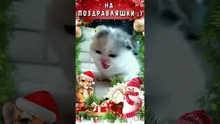short# В ЛЕСУ РОДИЛАСЬ ЕЛОЧКА 1