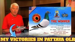 A Proud Moment For Mike Ganus | Ganus Family Loft | Racing pigeons