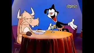 Animaniacs - Intro (Cartoon Network UK Airing)