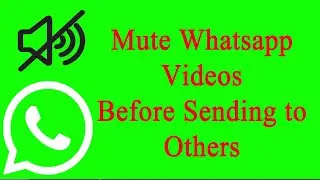 How to mute WhatsApp video before sending  | Mute WhatsApp Video