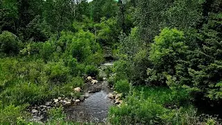 walk dwn my road manitoba
