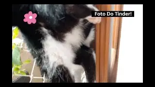 Foto do Instagram X Foto do Tinder