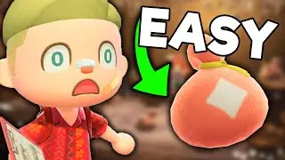 Getting FAST POKI in Happy Home Paradise