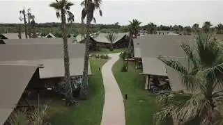 El Delfin Verde