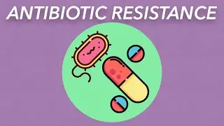 40. AntibioticResistance
