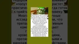 Подорожник растёт везде и полезен всем #подорожник #растение #народнаямедицина  #полезнознать