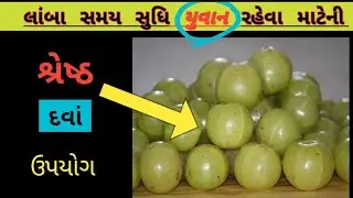 70.સૌથી વધારે વિટામિન C વાળું ફળ | ત્વચા અને વાળ માટે બેસ્ટ👩‍🎤👌 | ત્રિદોષ સંતુલિત કરનાર| Amla |