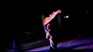 Hanuman janm utsav spcl Risama 2022