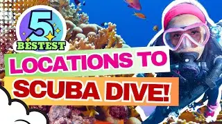 5 Bestest Locations to Scuba Dive