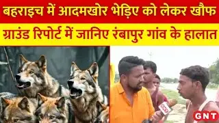 आदमखोर भेड़िए को लेकर Bahraich में अभी भी दहशत, Ground Report में जानिए रंबापुर गांव के हालात