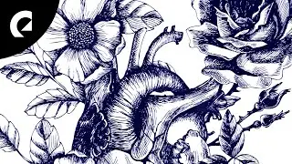 Franz Gordon - Poppy