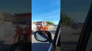 KUDA BENDI BERANGKAT BUAT MENCARI REZEKI || KOTA BUKITTINGGI #viral #kudabendi