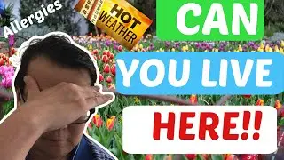 Pros and Cons When Living in Altadena California 2020 | Things to know before moving to Altadena CA