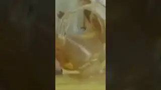 угу 