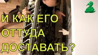 УДАВ ЗАСТРЯЛ В БАТАРЕЕ! Спасаем удава! Рекомендую посмотреть.