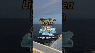 #083 Ship in USA #shorts #usa #youtube