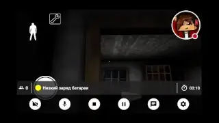 Стрим игры 