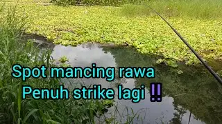 Mancing di rawa ''SUPER STRIKE
