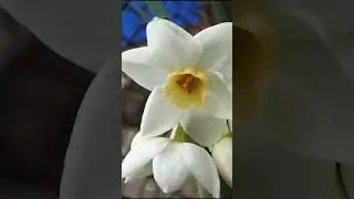 Моя весна 🌱