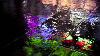 Raumagent Alpha - Plugger Vier