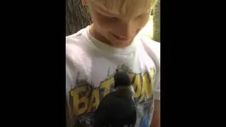 Sawyer and his blue jay