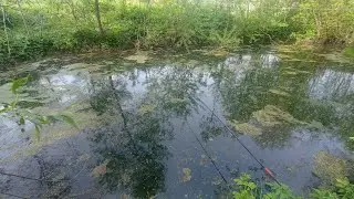 рибалка на копанці, господарство.