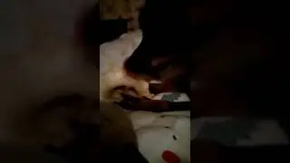 Ну очень вкусная штука
