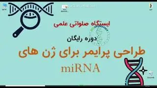 miRNA primer design