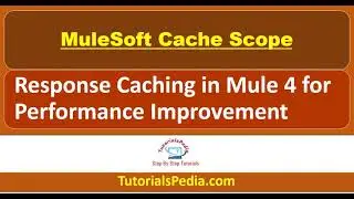 Mule 4 Cache Scope | MuleSoft Caching Strategy | Mule 4 Cache Use Case | Mule 4 Caching Tutorial