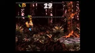 [SFC] Super Donkey Kong 3 (2024.02.01)