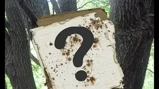 Нашли чужой дневник!!! В чём смысл жизни? Древо жизни... СКЕТЧ