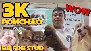 BAKA NANDITO NA ANG NAKATADHANA SAYO NA PWEDE MO ALAGAAN