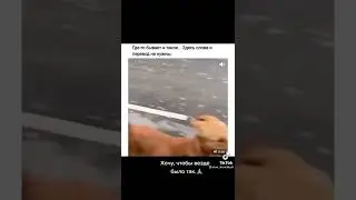 новый поступок по тлмс