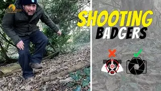 Shooting Badgers