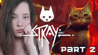 CAT PARKOUR THE GAME | Stray part 2