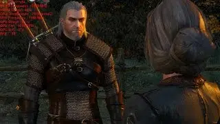 The Witcher 3  NVIDIA GeForce WHQL driver  375.95 test
