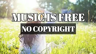 Sunshine Music - Music - Music Is Free - No Copyright Music