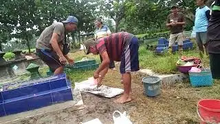 Pasang maisan almarhum mbah saman 15.05.2020