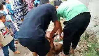 Kurban