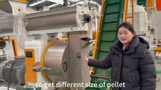What equipment is included in a complete 1-2t/h feed pellet production line?