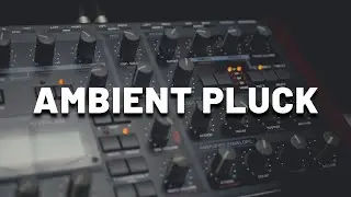 Ambient Pluck with Access Virus TI | Synth Sound Demo (No Talking)
