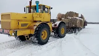 Трактор К-701 Зимний запуск # Поездка за сеном. Сезон 2021