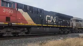 [3 EX CIT engines!!]Railfanning at Carew June 22 2024